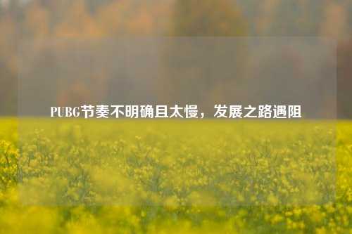 PUBG节奏不明确且太慢,发展之路遇阻