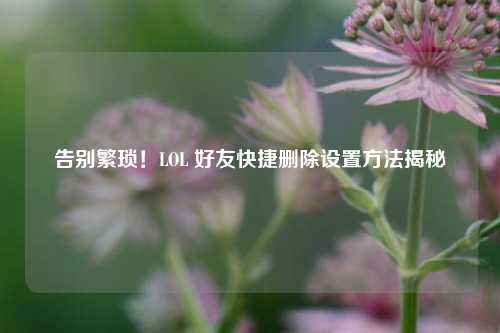 告别繁琐!LOL 好友快捷删除设置方法揭秘