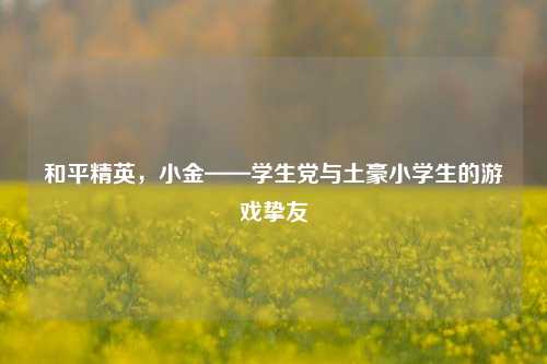 和平精英,小金——学生党与土豪小学生的游戏挚友