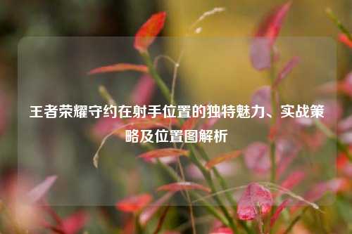 王者荣耀守约在射手位置的独特魅力、实战策略及位置图解析