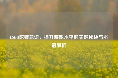 CSGO陀螺意识,提升游戏水平的关键秘诀与术语解析