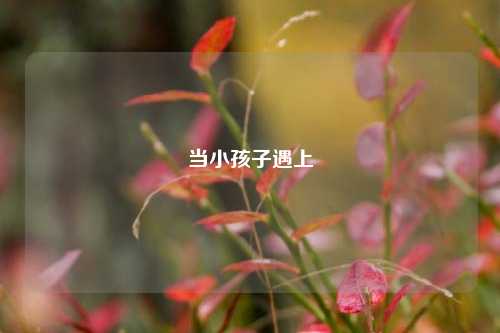 当小孩子遇上
