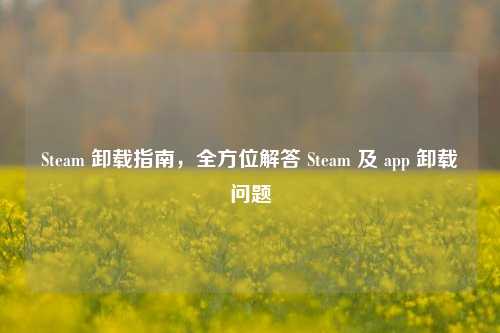 Steam 卸载指南,全方位解答 Steam 及 app 卸载问题