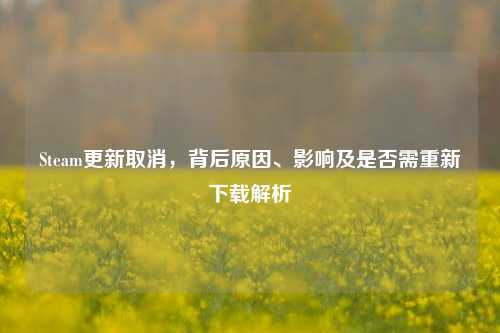 Steam更新取消,背后原因、影响及是否需重新下载解析