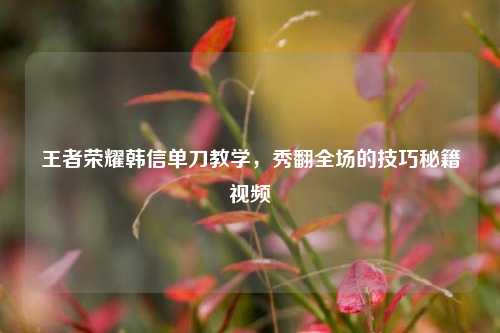 王者荣耀韩信单刀教学,秀翻全场的技巧秘籍视频