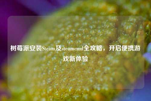 树莓派安装Steam及steamcmd全攻略,开启便携游戏新体验
