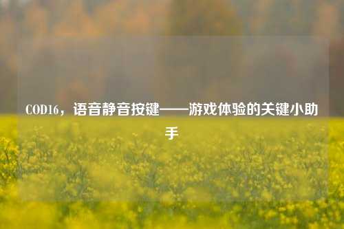COD16,语音静音按键——游戏体验的关键小助手