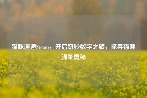 猫咪邂逅Steam，开启奇妙数字之旅，探寻猫咪脚趾奥秘
