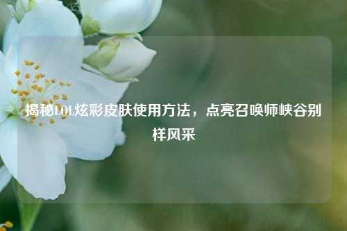 揭秘LOL炫彩皮肤使用方法，点亮召唤师峡谷别样风采