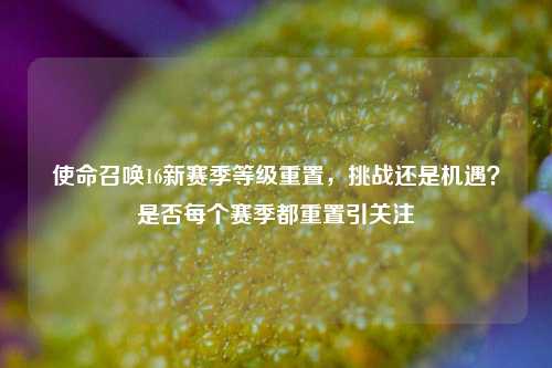 使命召唤16新赛季等级重置,挑战还是机遇?是否每个赛季都重置引关注